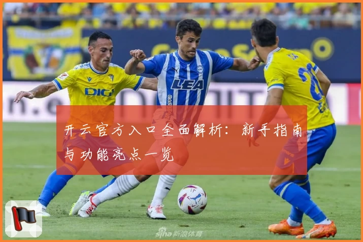 开云官方入口全面解析：新手指南与功能亮点一览