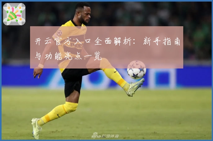 开云官方入口全面解析：新手指南与功能亮点一览