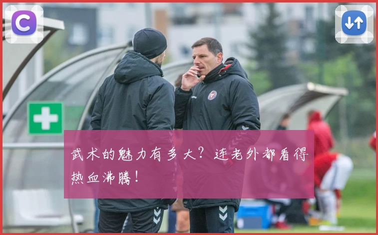 武术的魅力有多大?连老外都看得热血沸腾!