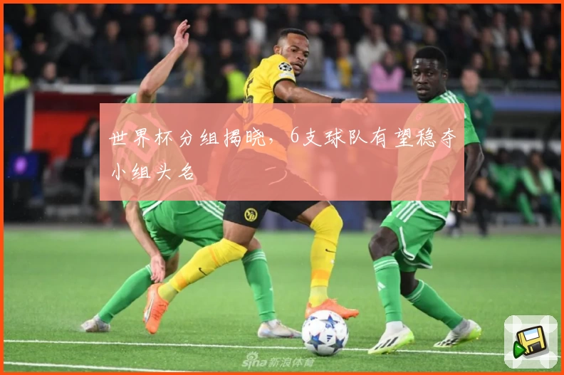 世界杯分组揭晓，6支球队有望稳夺小组头名